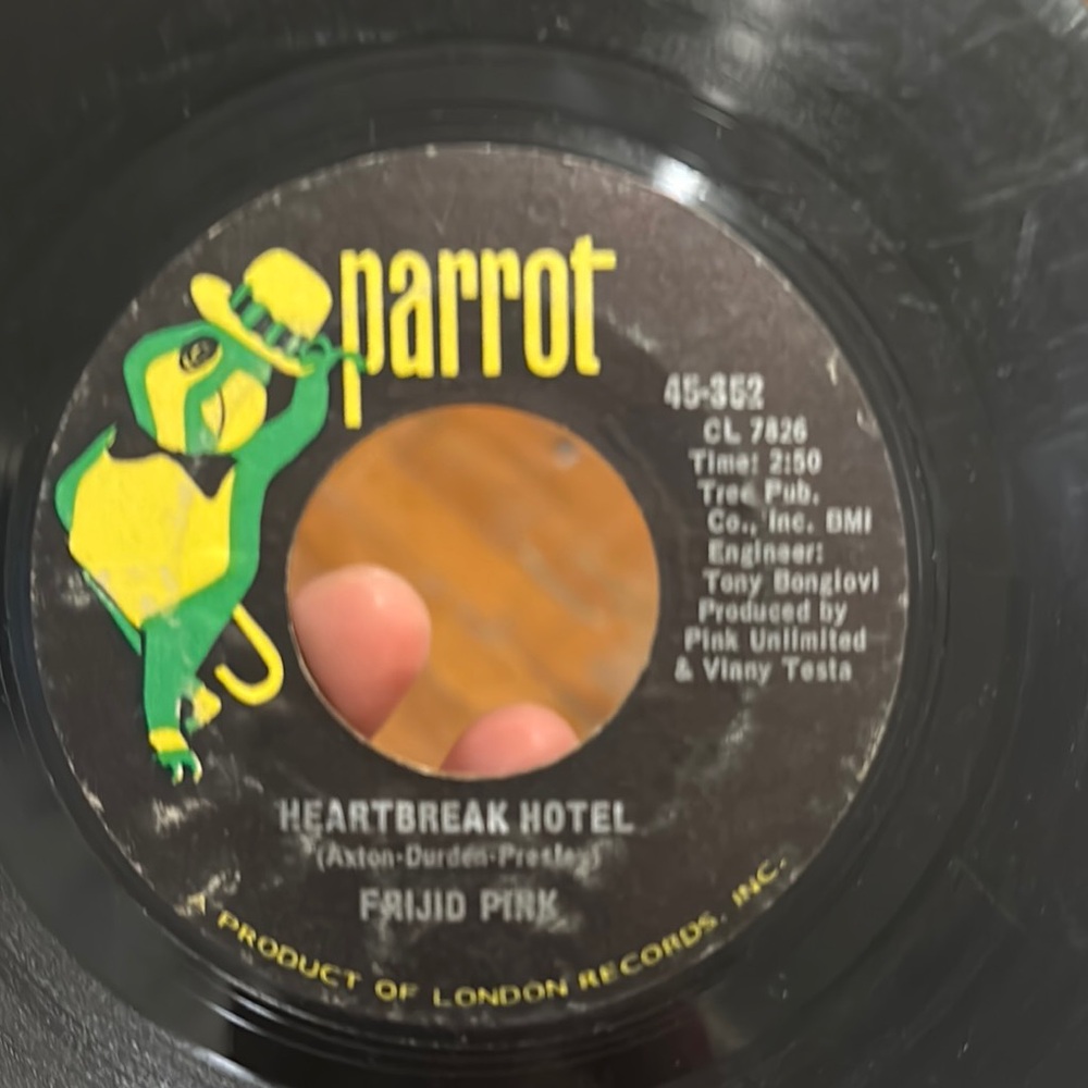Parrot Black Vinyl Record Media